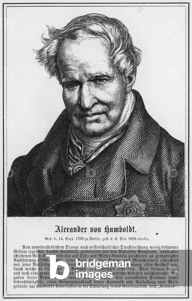 Alexander von Humboldt (engraving)