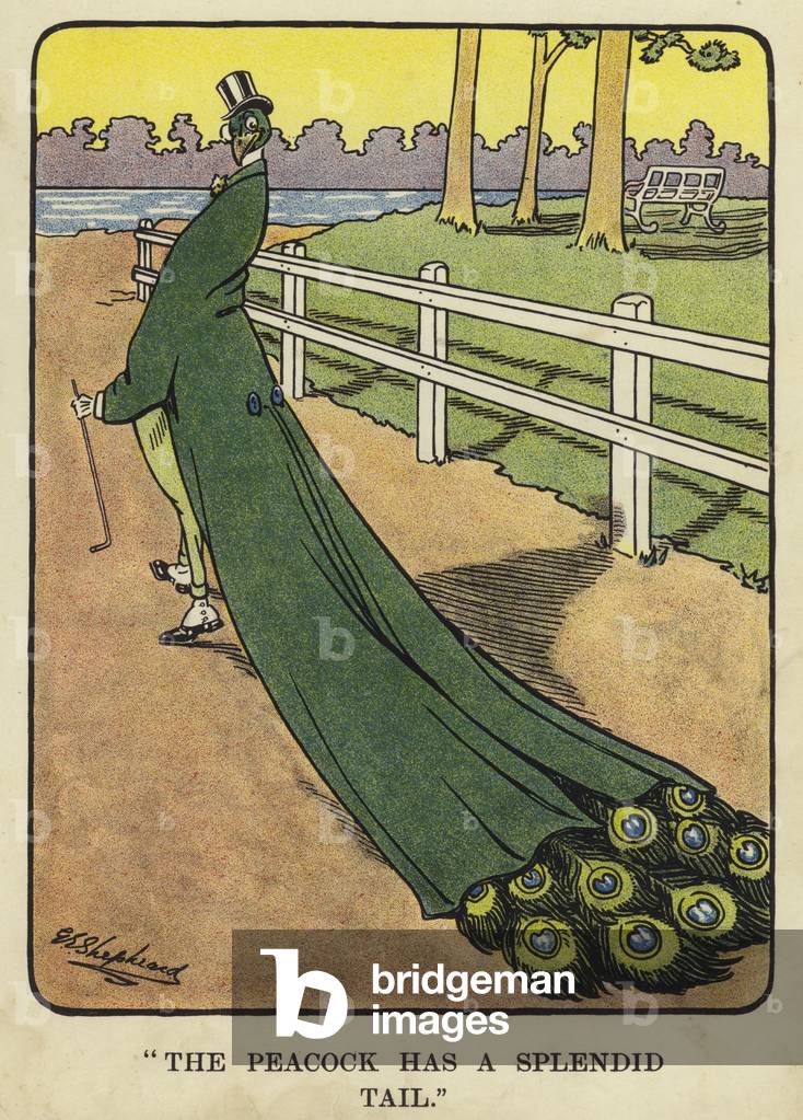 Illustration for Bubbles in Birdland (colour litho)