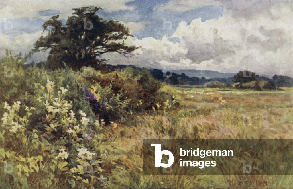 Rising Ground (colour litho)