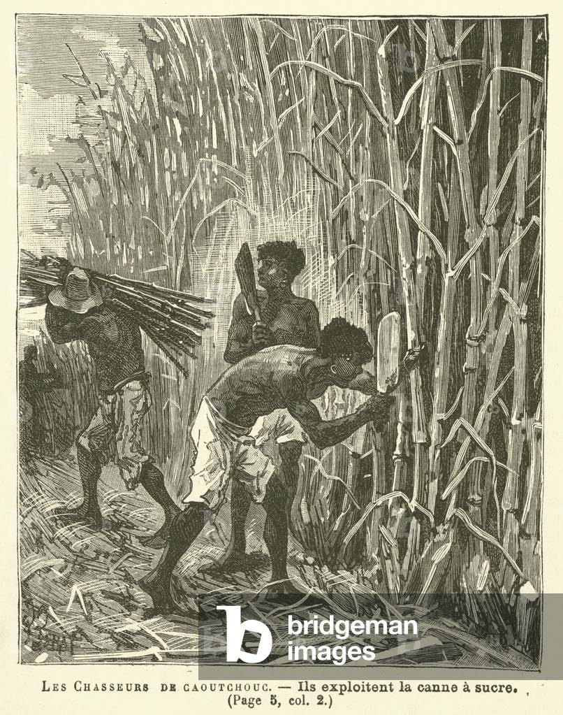 Les Chasseurs De Caoutchouc (engraving)