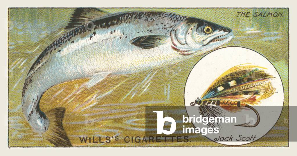 The Salmon, Jock Scott (chromolitho)