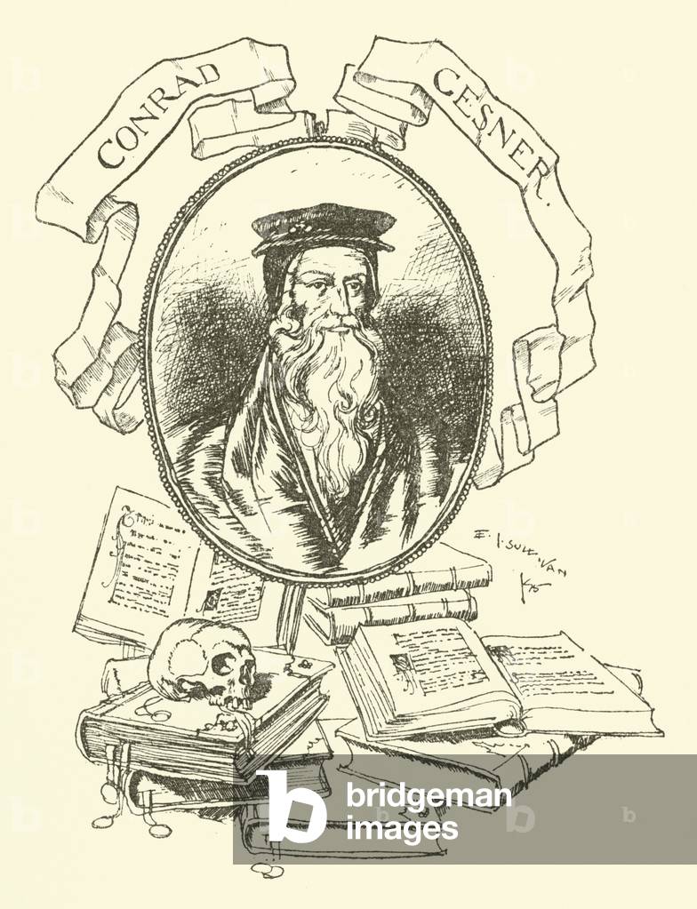 Conrad Gesner (engraving)