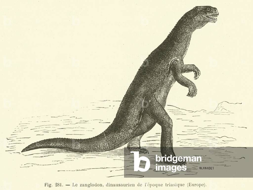 Le zanglodon, dinausaurien de l'epoque triasique, Europe (engraving)