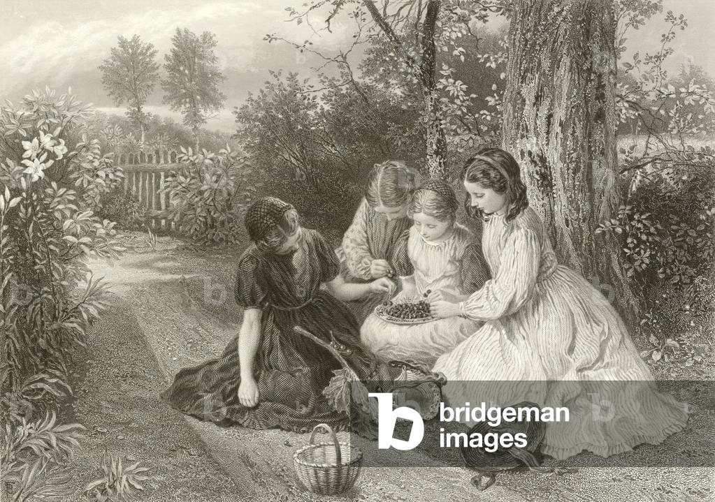 A feast of cherries (engraving)