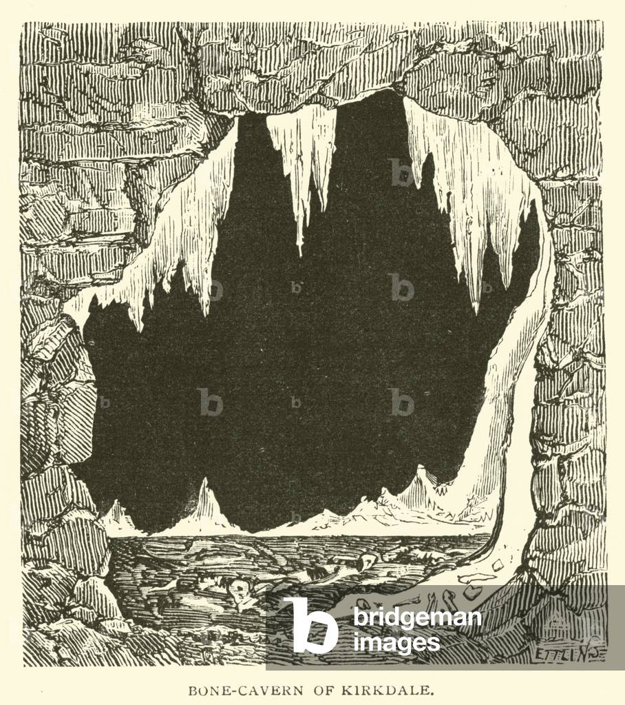 Bone-Cavern of Kirkdale (engraving)