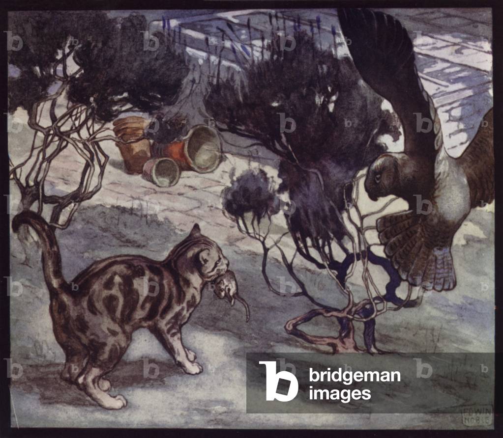 Rival Mouse-Hunters, Cats and Owl (colour litho)