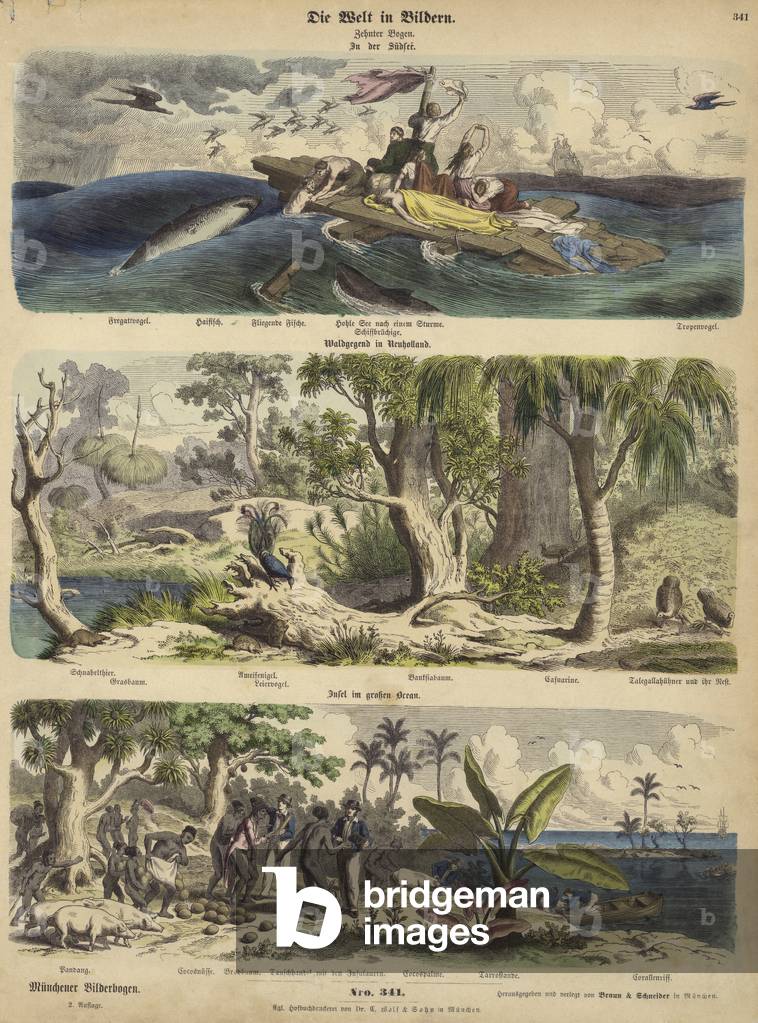The Pacific: shipwreck survivors adrift on a raft in the South Seas; forest in New Holland (Australia); a Pacific island (coloured engraving)
