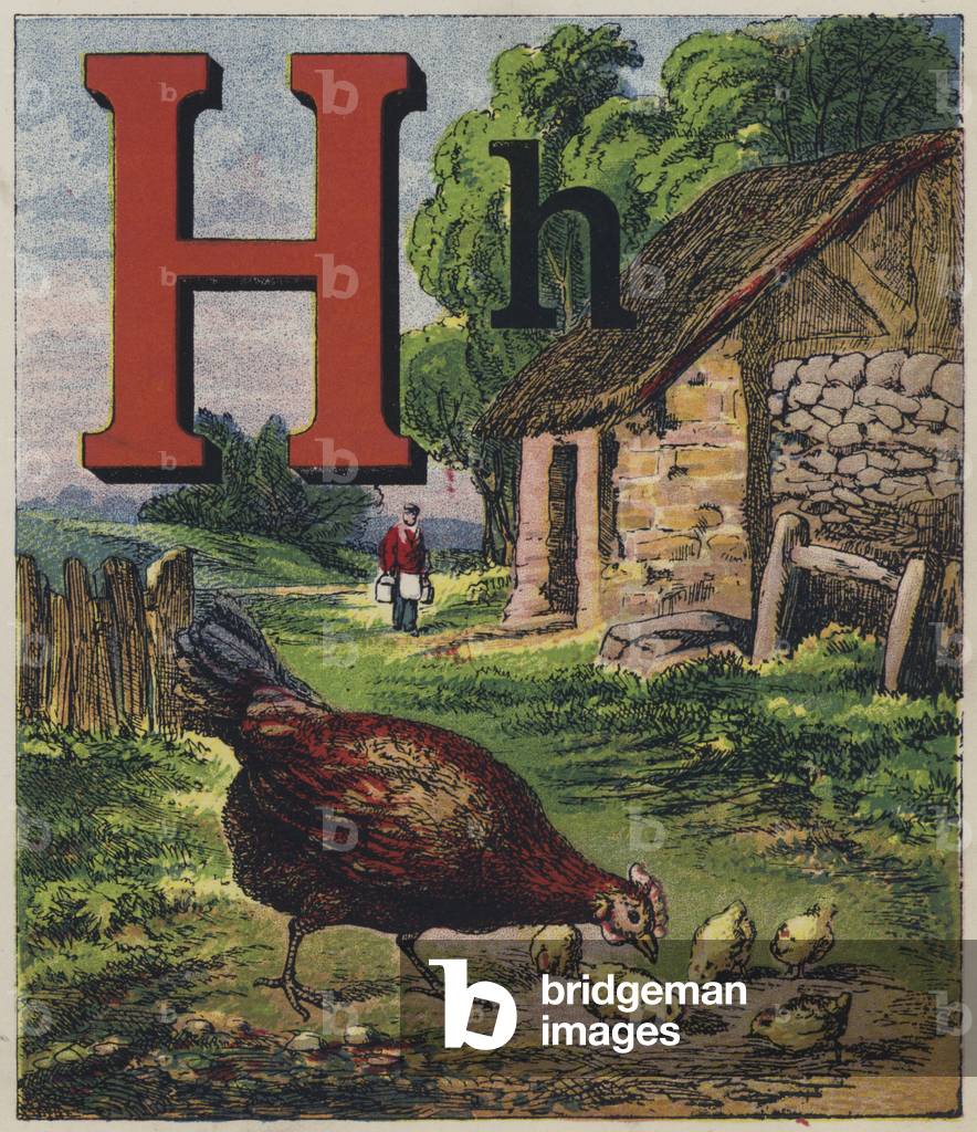 Hen (colour litho)