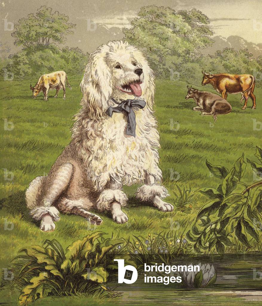 Hey Diddle Diddle (colour litho)