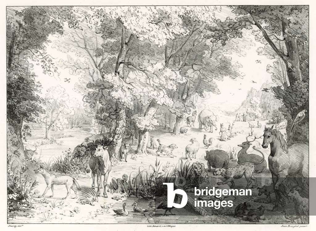 Earth: the Earthly Paradise (litho)
