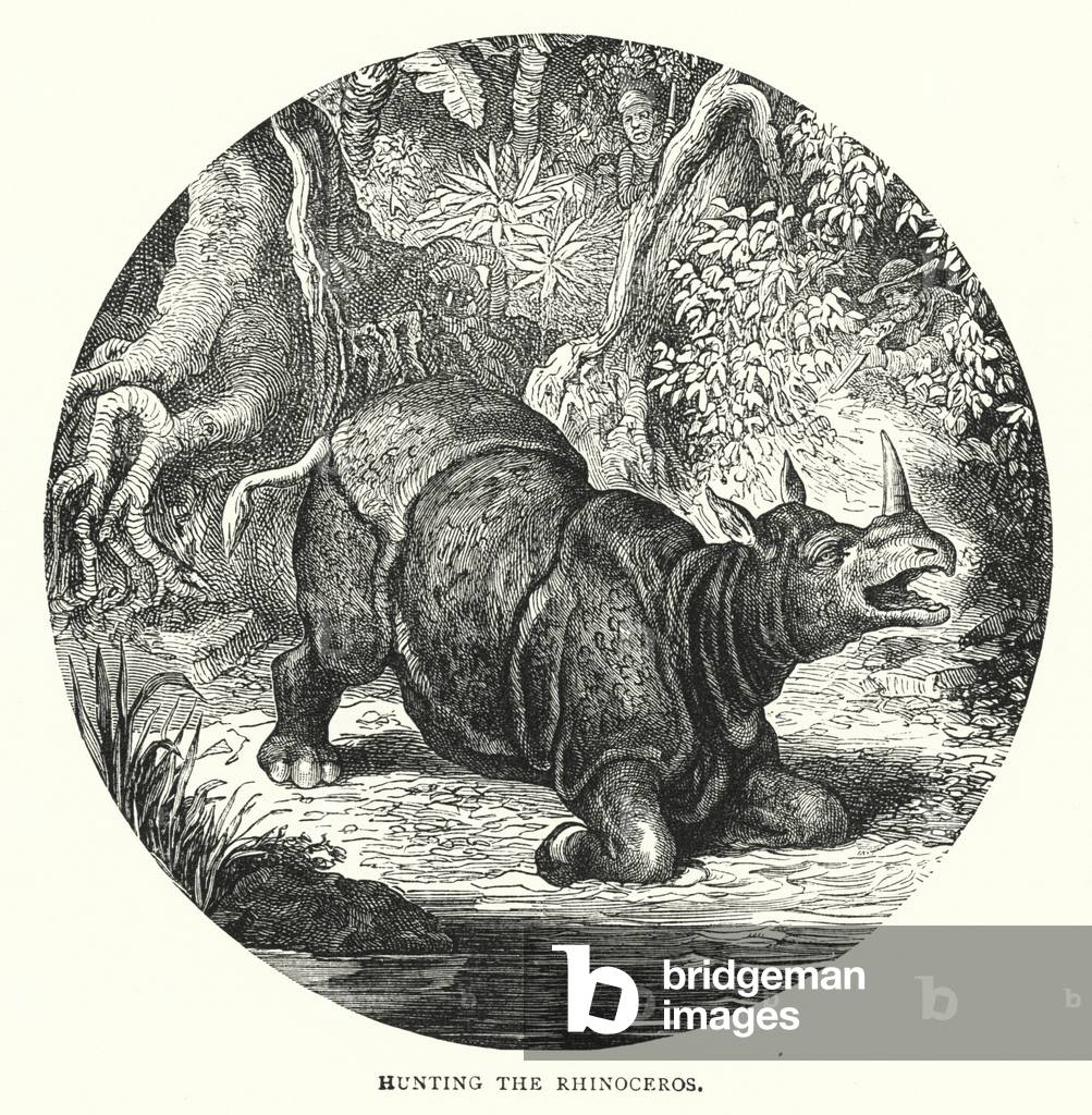 Hunting the Rhinoceros (engraving)