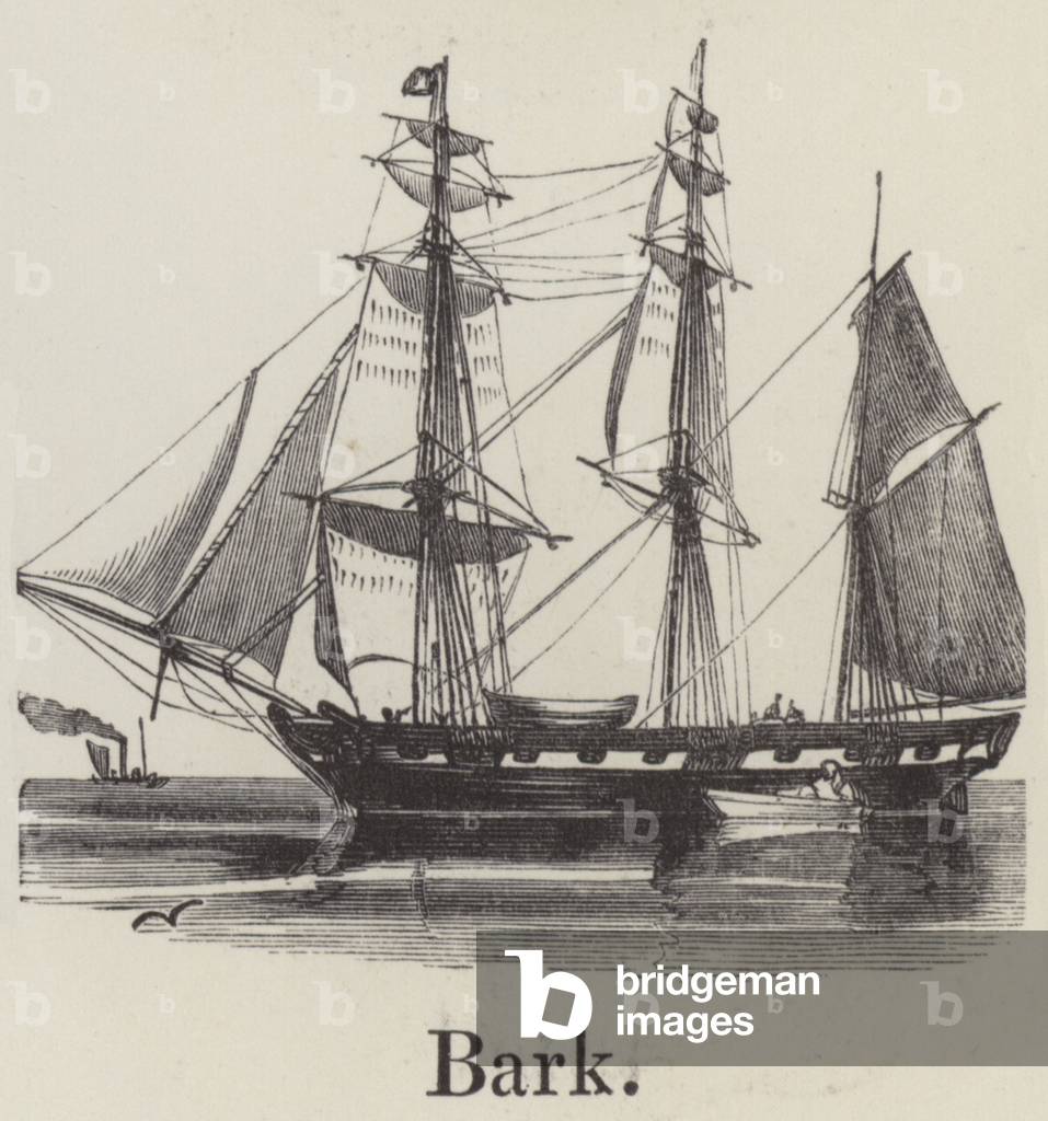 Bark (engraving)