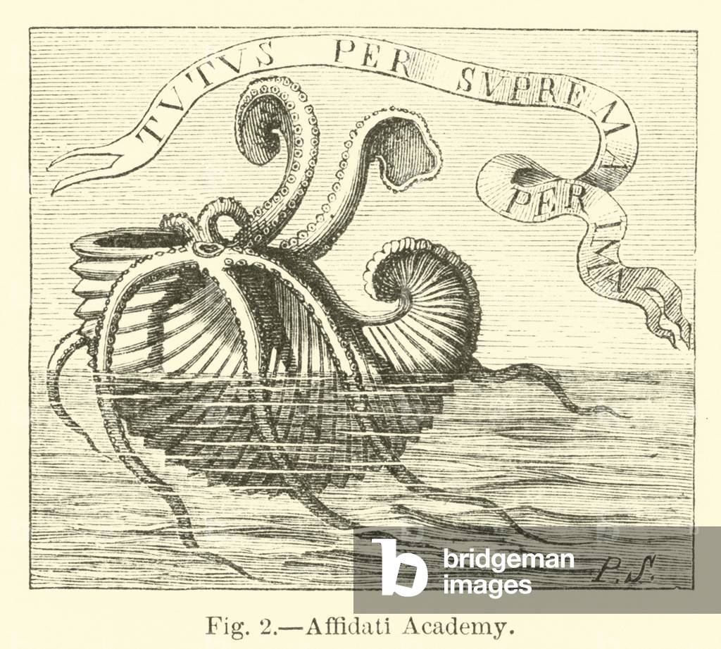 Affidati Academy (engraving)