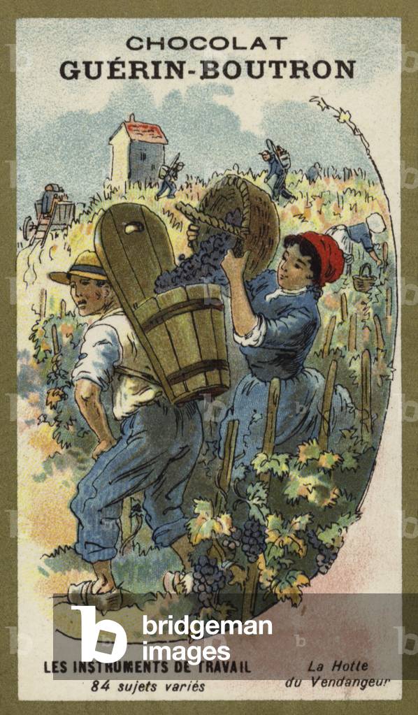 Grape picker's basket (chromolitho)