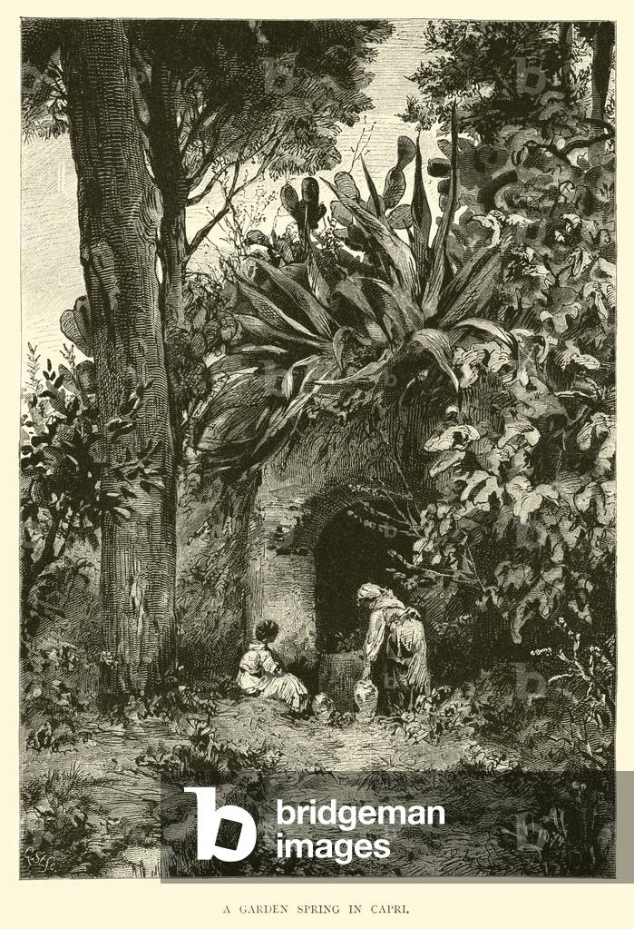 A Garden Spring in Capri (engraving)