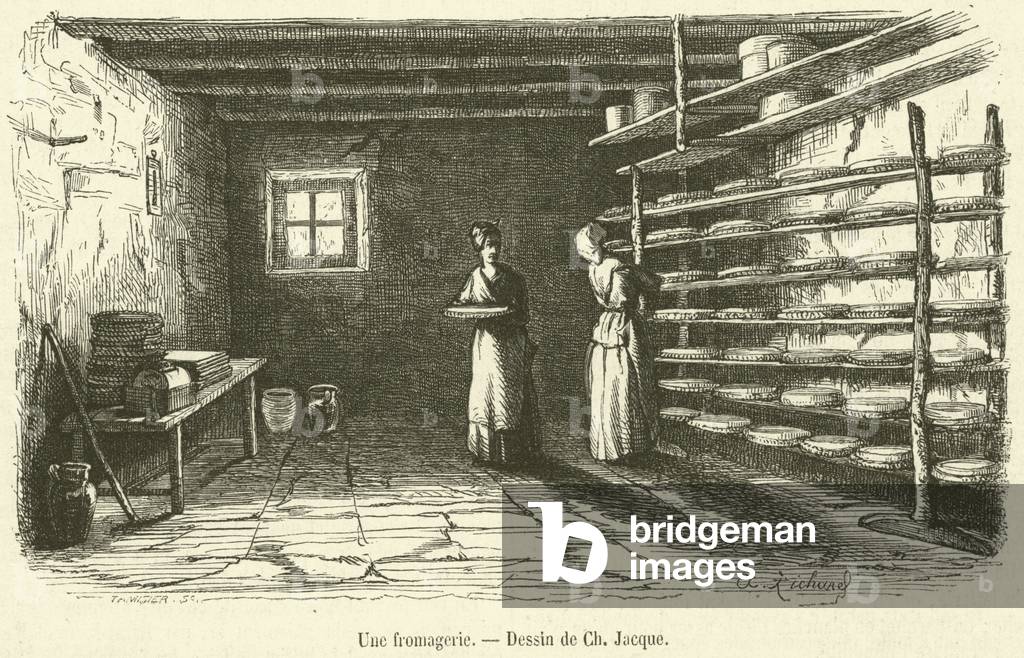 Une fromagerie (engraving)