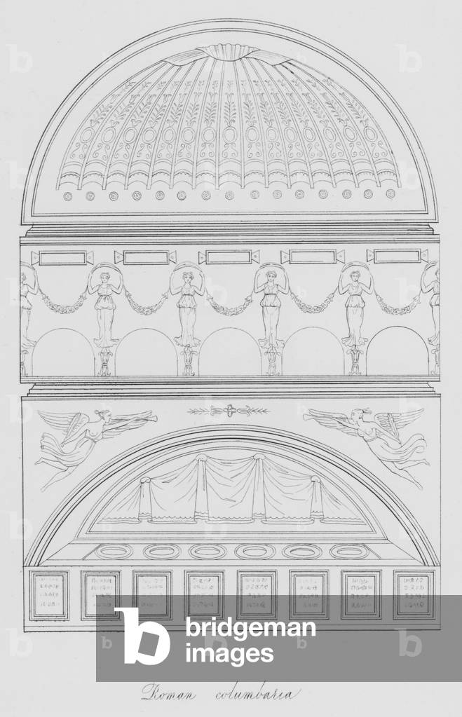 Roman columbaria (engraving)