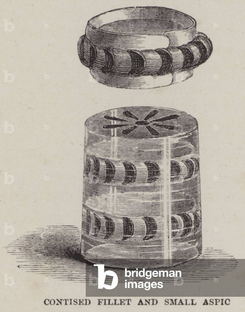 Contised Fillet and Small Aspic (engraving)