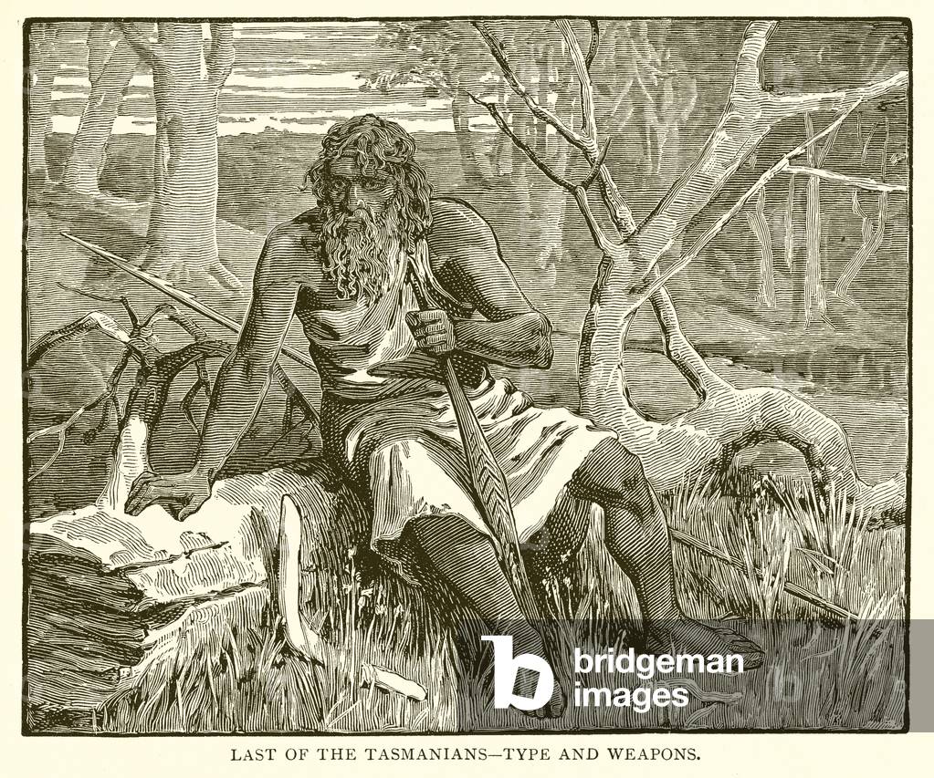 Last of the Tasmanians--Type and Weapons (engraving)