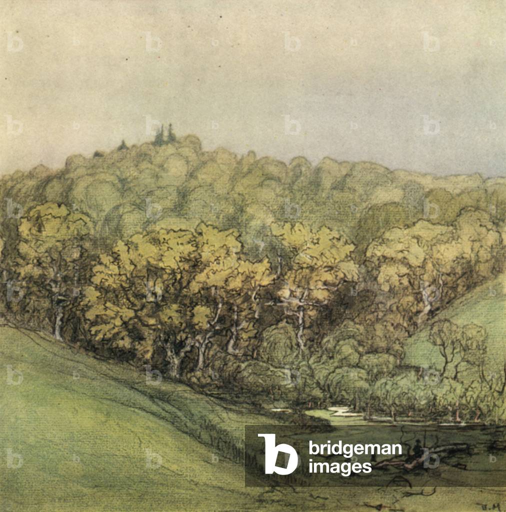 Sussex (colour litho)