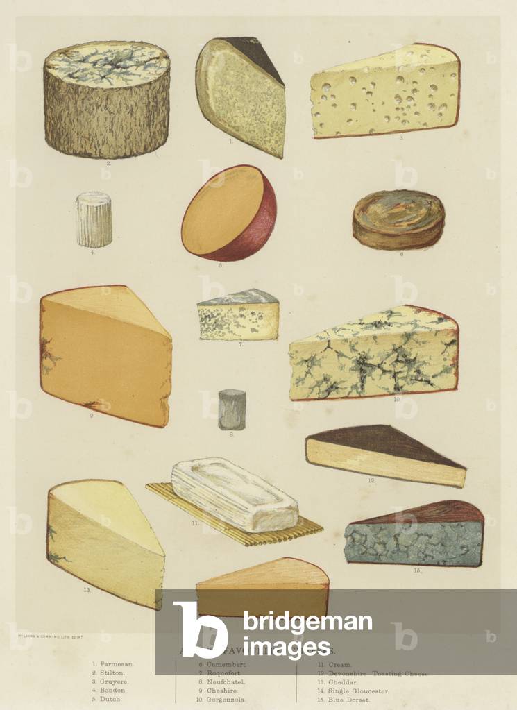 A few favourite cheeses (chromolitho)
