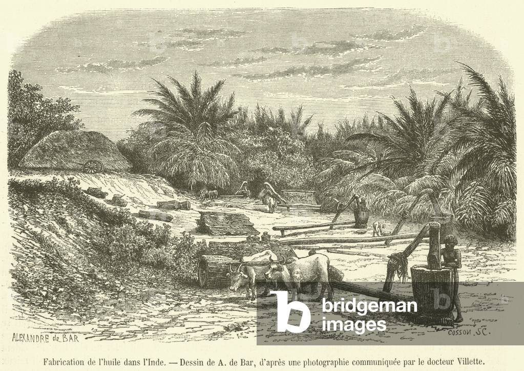 Fabrication de l'huile dans l'Inde (engraving)