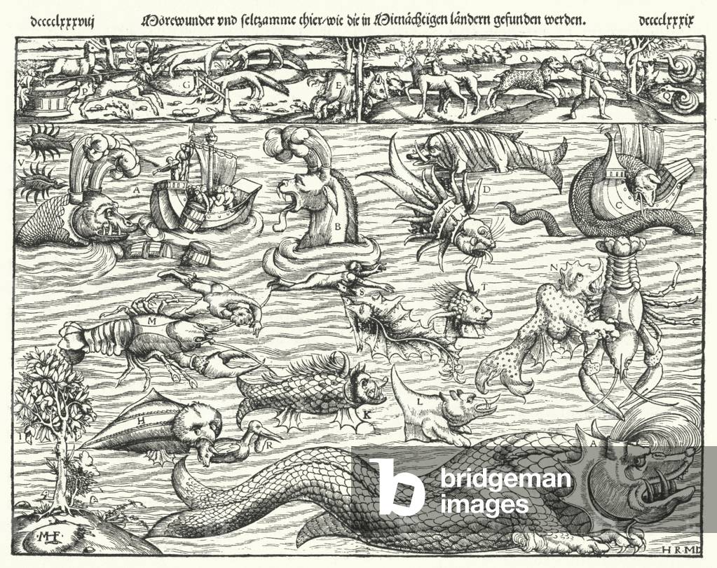 Sea creatures (engraving)