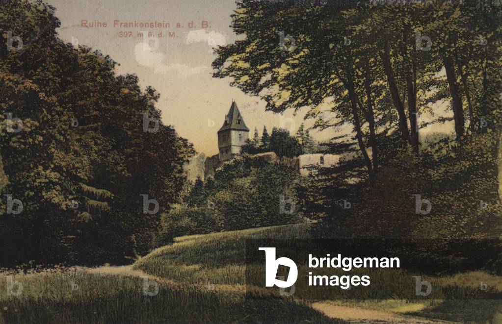 Ruine Frankenstein (photo)