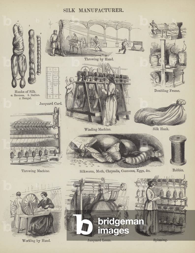 Silk Manufacturer (engraving)