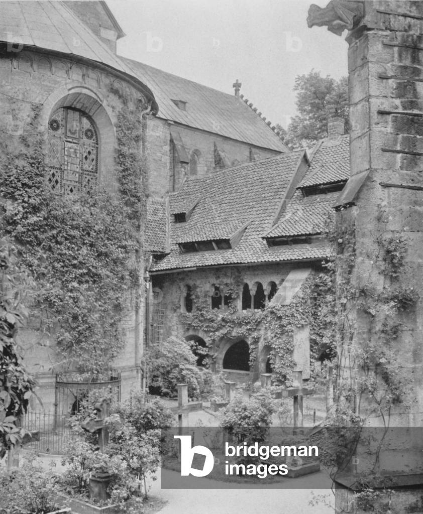 Tausendjahriger Rosenstock (b/w photo)