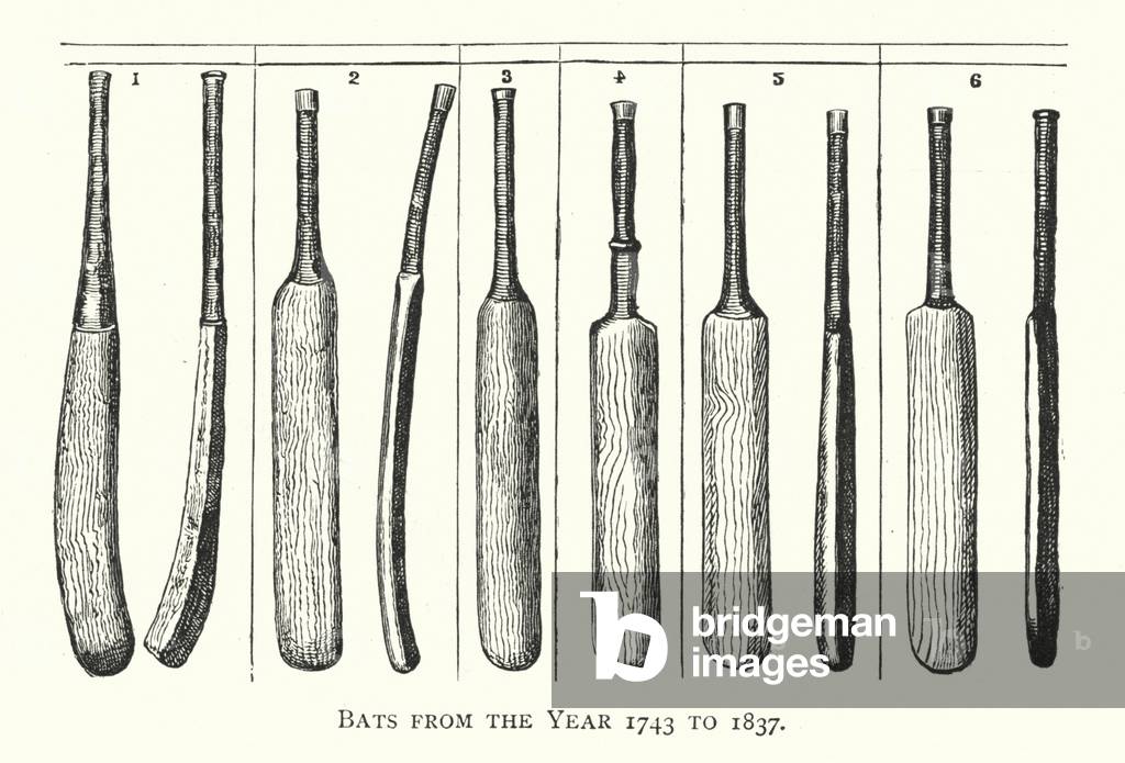 Bats from the Year 1743 to 1837 (engraving)