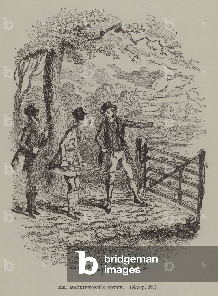 Mr Mackintosh's Covey (engraving)