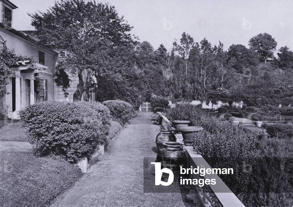 Charles A Platt: (b/w photo)