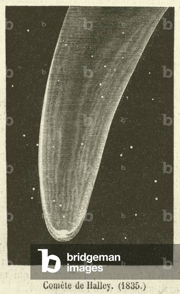 Comete de Halley, 1835 (engraving)