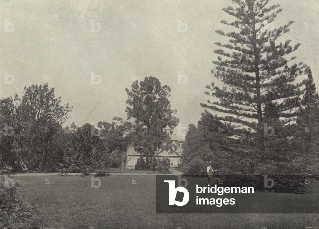 King William's Town, Botanical Gardens (b/w photo)