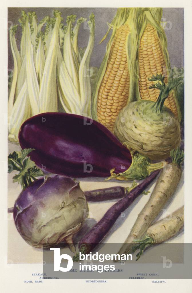 Some rarer vegetables (photo)