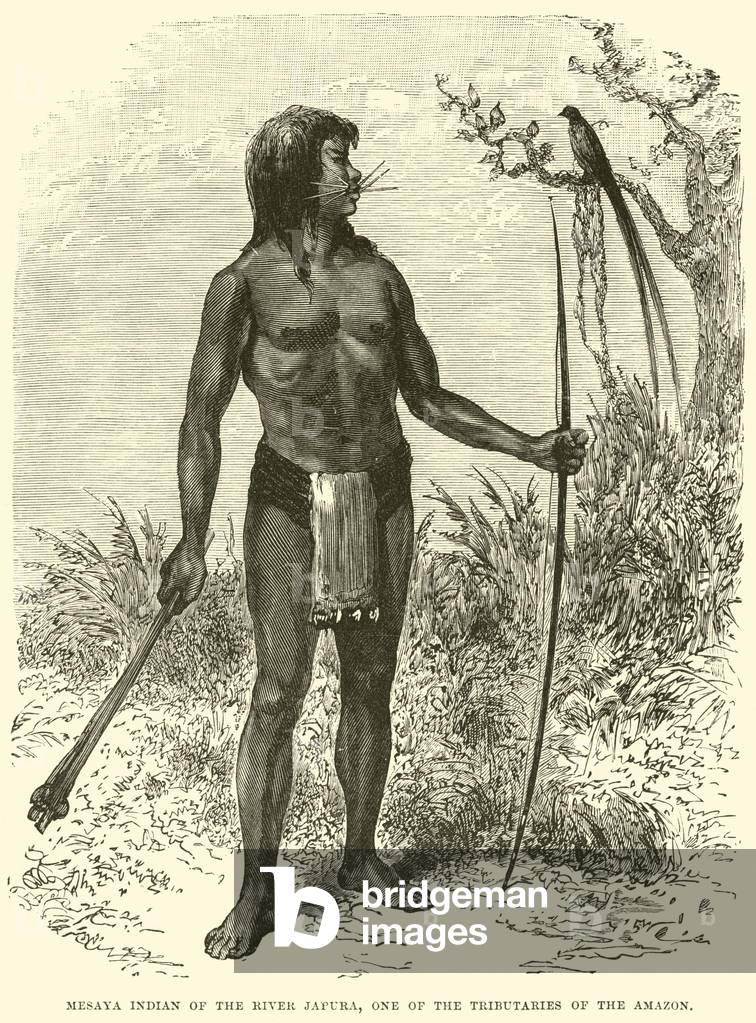 Mesaya Indian of the River Japura, one of the Tributaries of the Amazon (engraving)