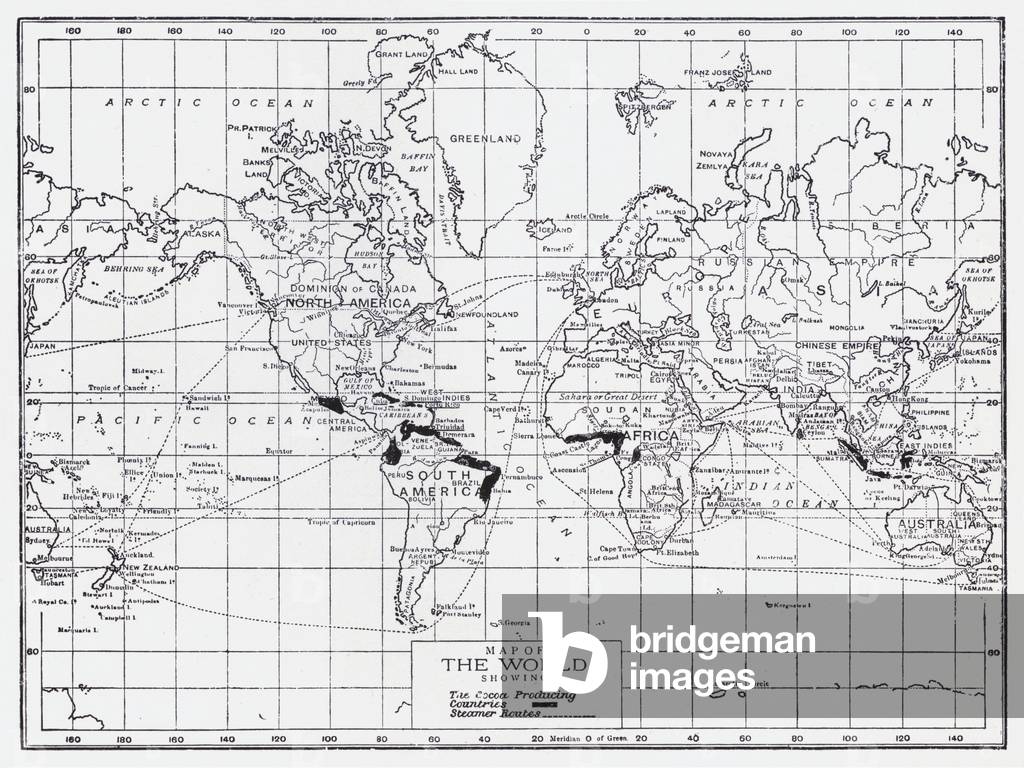 Map of the world showing the cocoa producing countries (litho)