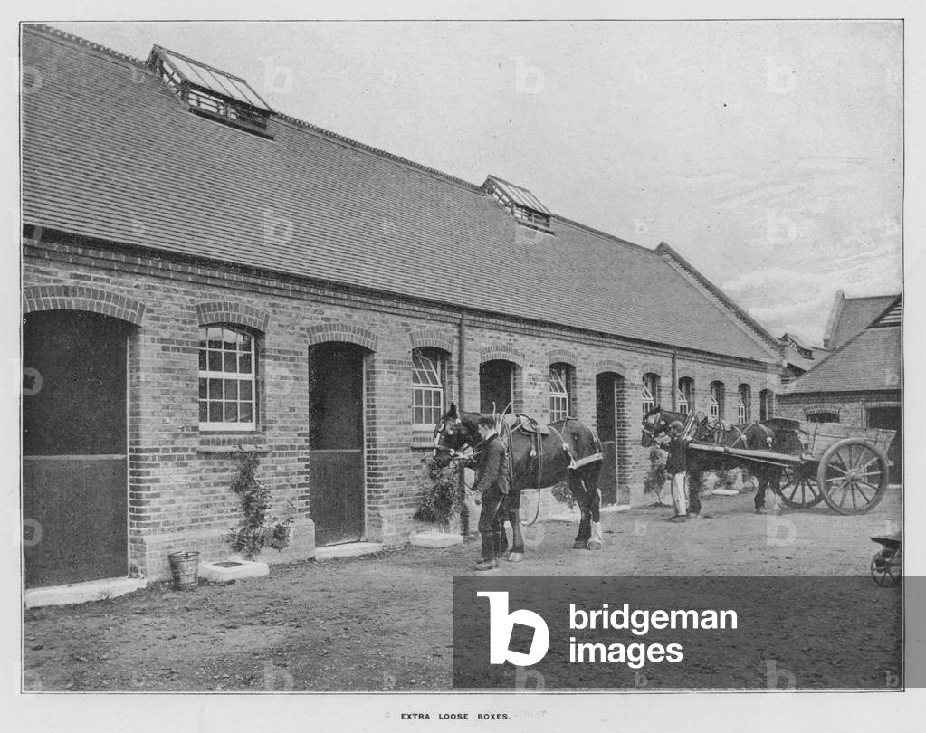 Whiteley's Farms: Extra loose boxes (b/w photo)