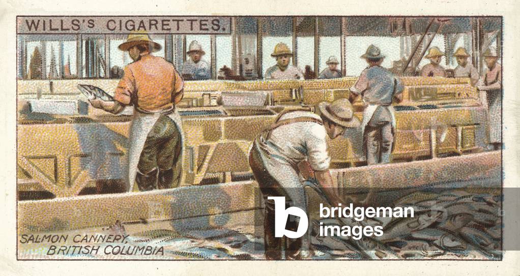 Canada, Salmon Cannery, British Columbia (chromolitho)