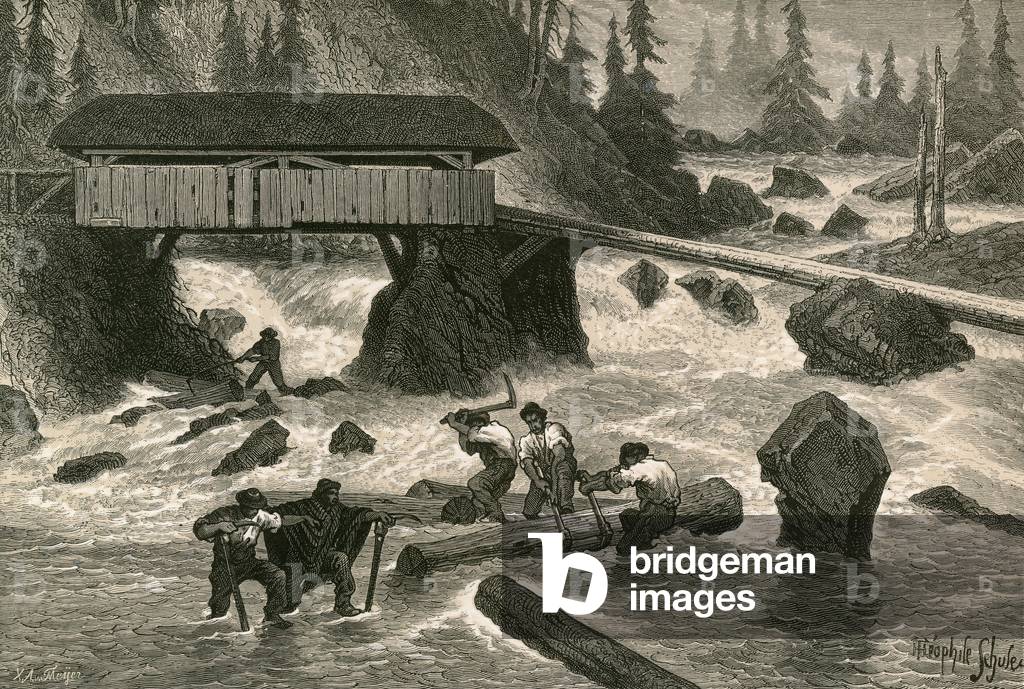 Wood-Floaters (engraving)