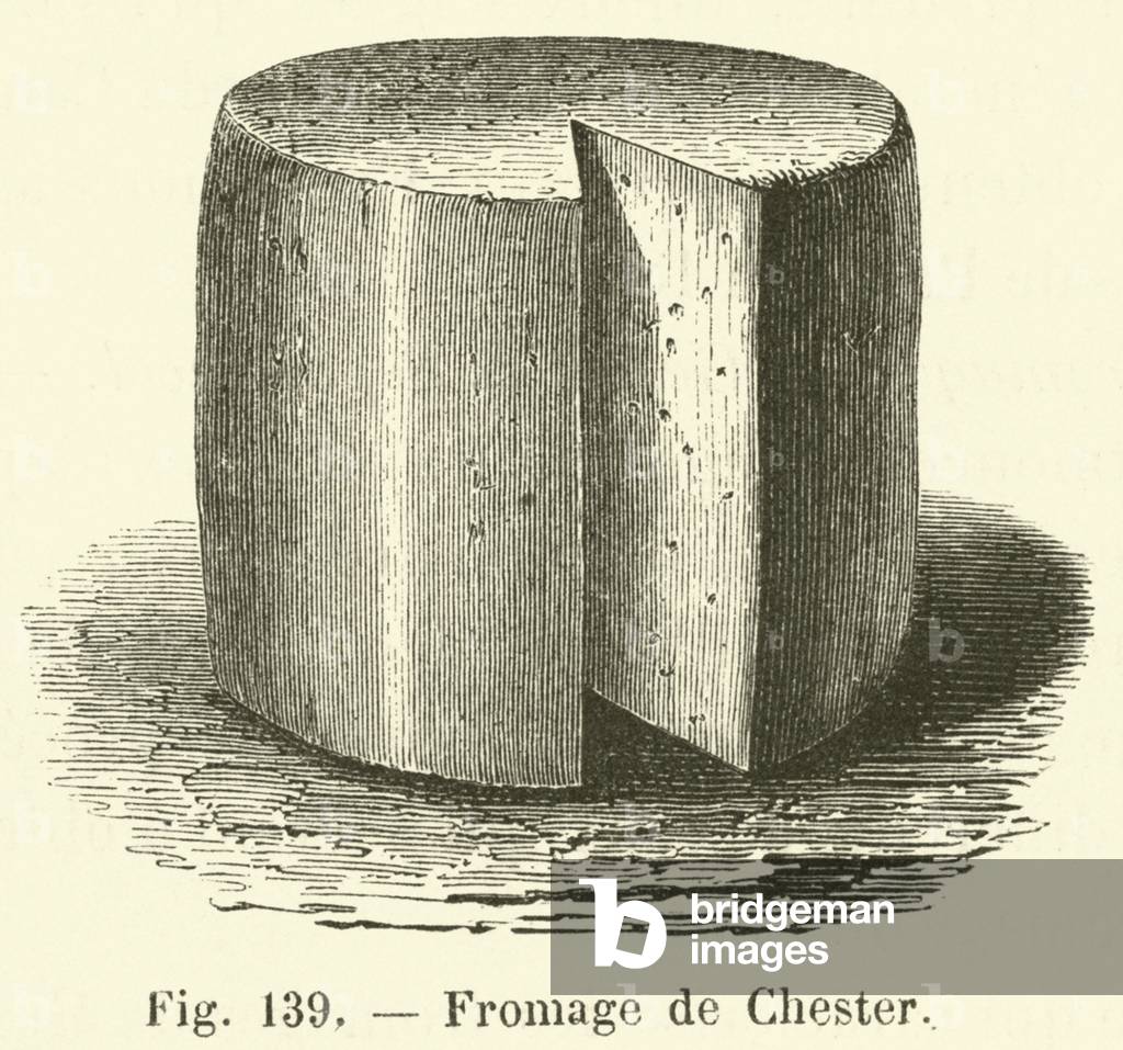Fromage de Chester (engraving)