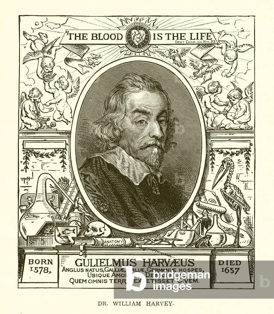 Dr. William Harvey (engraving)