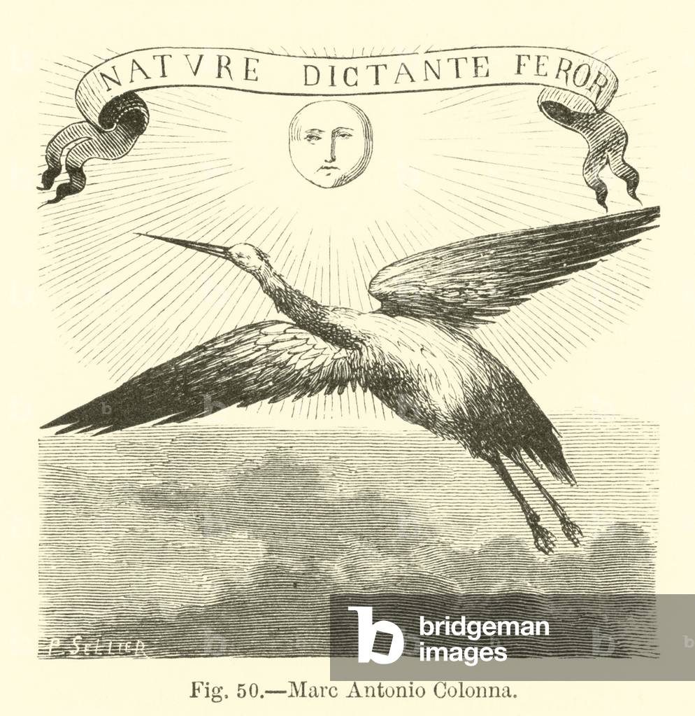 Marc Antonio Colonna (engraving)