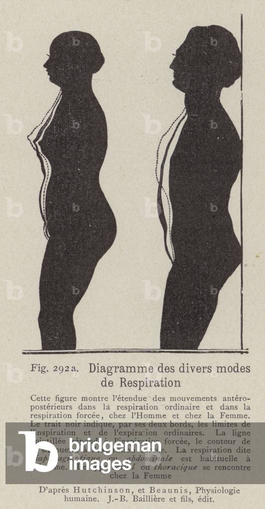 Diagram comparing the effects of different modes of breathing in women and men (litho)