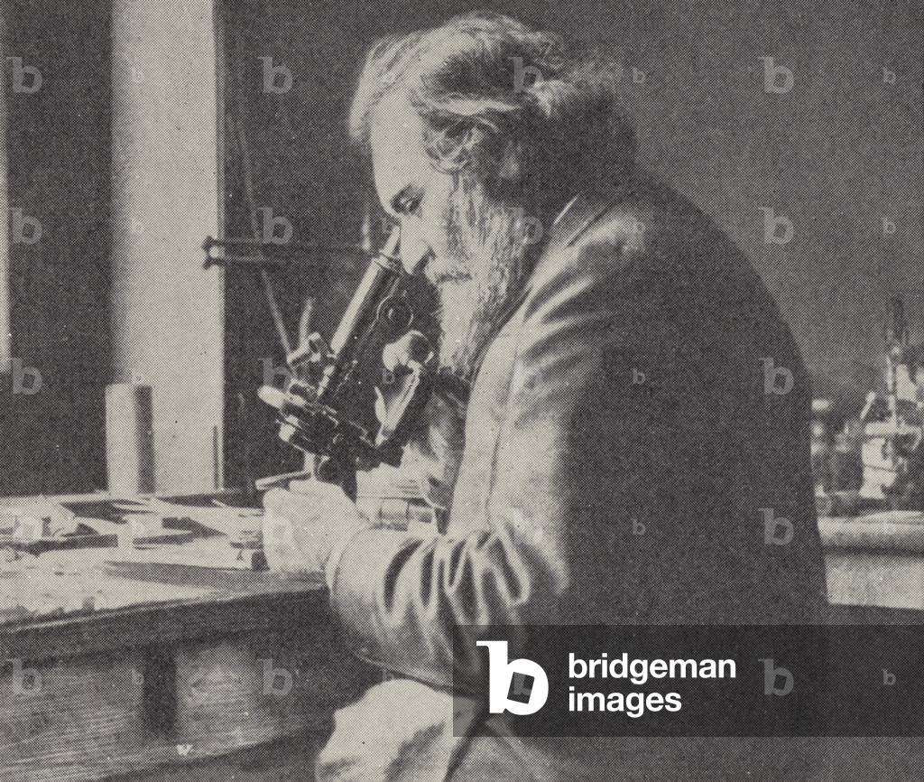 Ilya Metchnikoff, Russian zoologist and immunologist (b/w photo)
