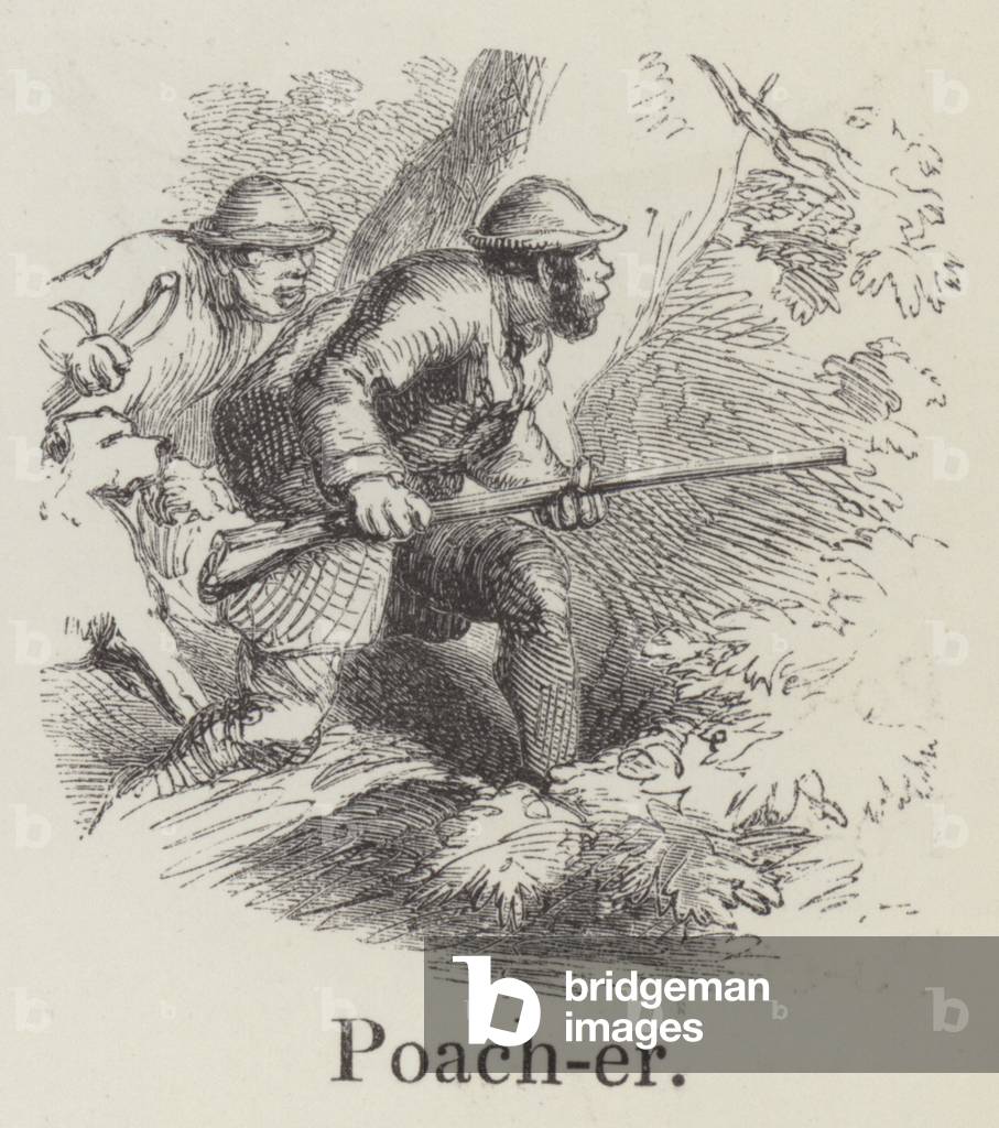 Poacher (engraving)