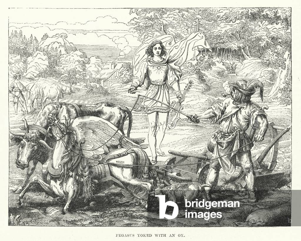 Pegasus yoked with an ox (engraving)
