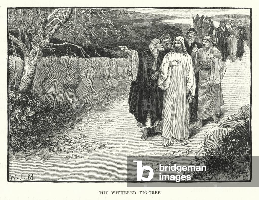 The Withered Fig-Tree (engraving)