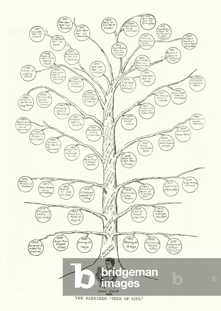 The Barnardo Tree of Life (lithograph)